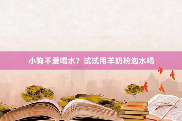 小狗不爱喝水？试试用羊奶粉泡水喝